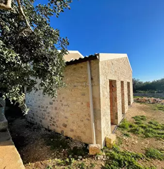 Foto annuncio 37