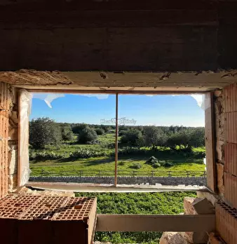 Foto annuncio 52