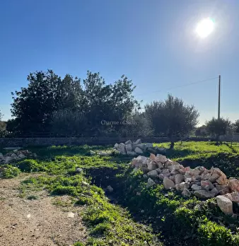Foto annuncio 62