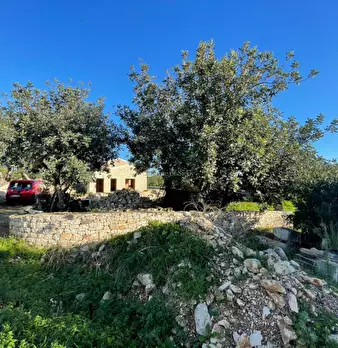 Foto annuncio 66
