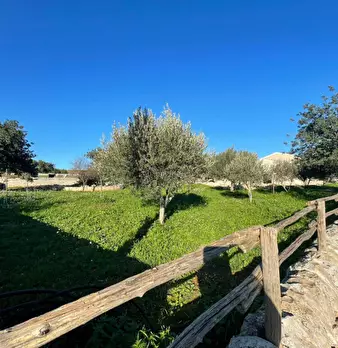 Foto annuncio 67