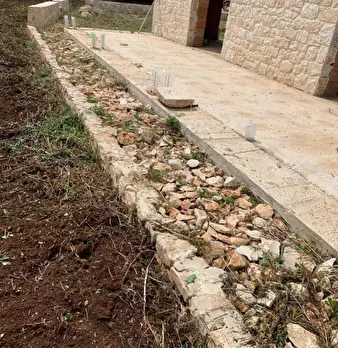 Foto annuncio 68