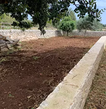 Foto annuncio 69