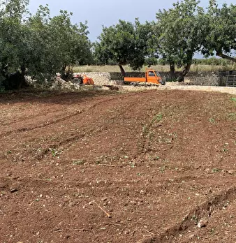 Foto annuncio 70