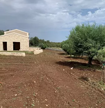Foto annuncio 71