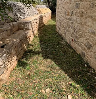 Foto annuncio 73