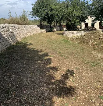 Foto annuncio 74
