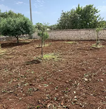 Foto annuncio 75