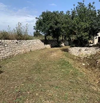 Foto annuncio 78