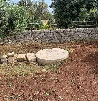 Foto annuncio 80