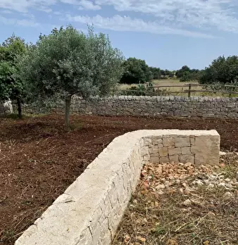 Foto annuncio 81