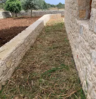 Foto annuncio 82