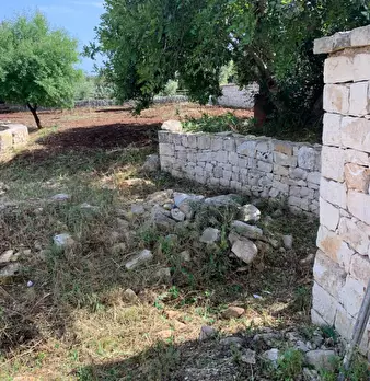 Foto annuncio 83