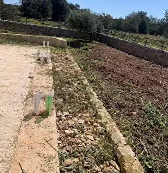Foto annuncio 85