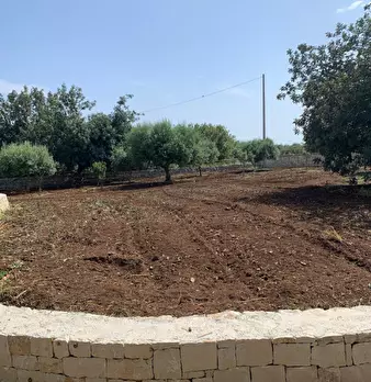 Foto annuncio 87