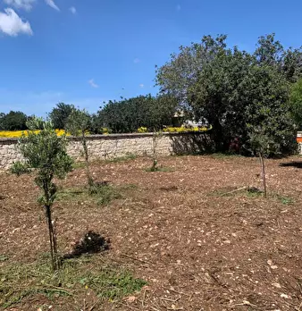 Foto annuncio 88