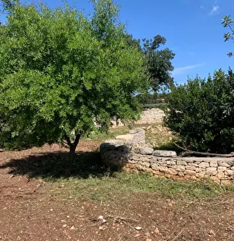 Foto annuncio 90