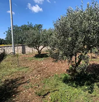 Foto annuncio 91