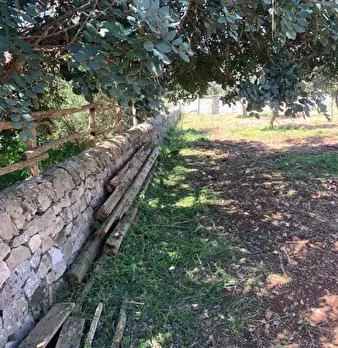 Foto annuncio 94