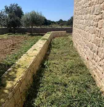 Foto annuncio 95