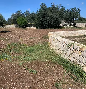 Foto annuncio 96
