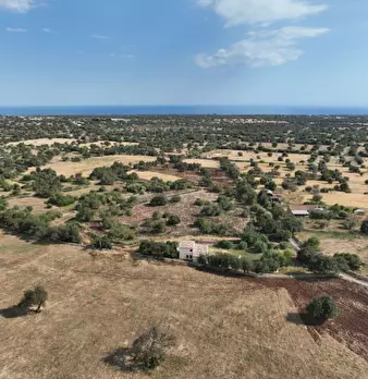 Foto annuncio 99