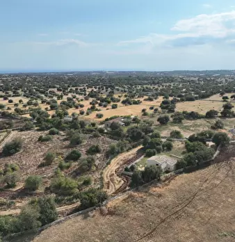 Foto annuncio 100