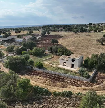 Foto annuncio 106