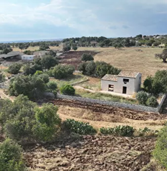 Foto annuncio 108