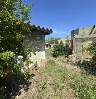 Foto annuncio 8