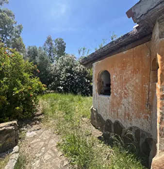 Foto annuncio 9