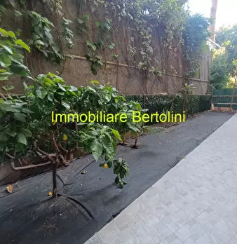 Foto annuncio 12