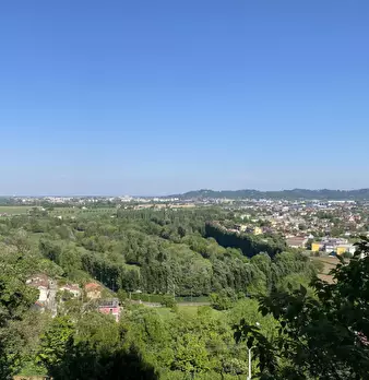 Foto annuncio 1