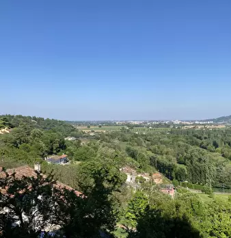 Foto annuncio 7