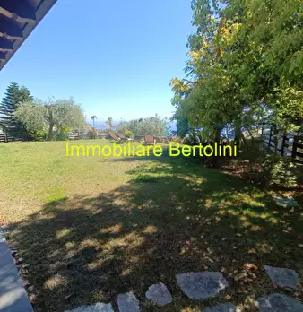 Foto annuncio 4