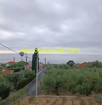 Foto annuncio 27