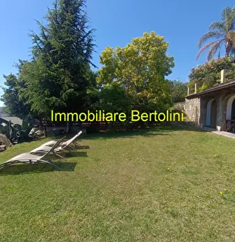 Foto annuncio 80