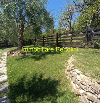 Foto annuncio 81