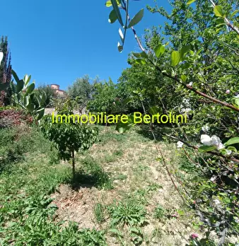 Foto annuncio 82