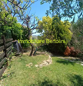 Foto annuncio 83