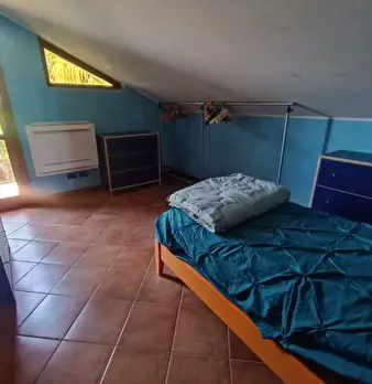 Foto annuncio 62