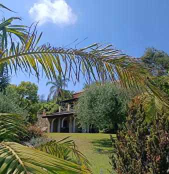 Foto annuncio 77