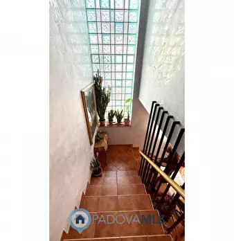 Foto annuncio 33