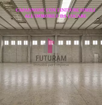 Foto annuncio 5