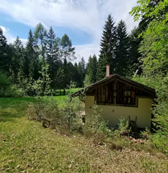 Foto annuncio 56