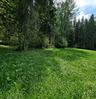 Foto annuncio 61