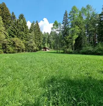 Foto annuncio 64