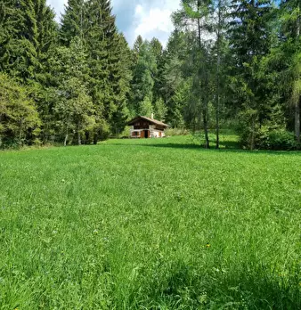 Foto annuncio 66
