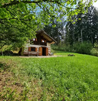 Foto annuncio 82