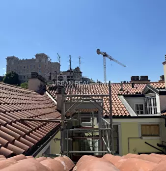 Foto annuncio 12